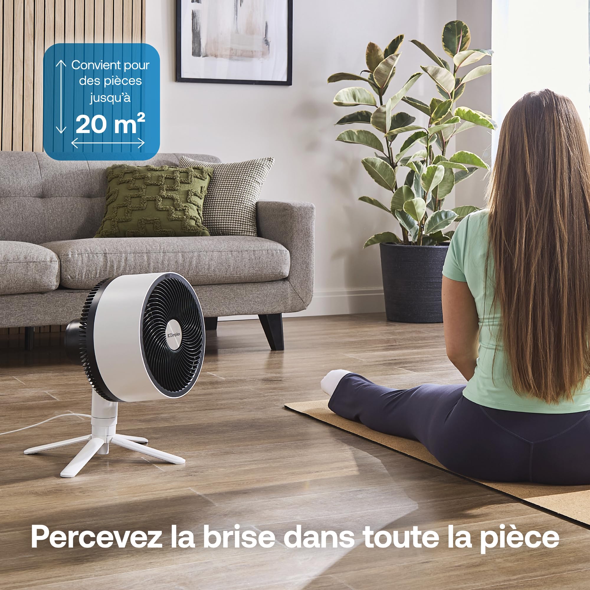 dimplex-duocool-ventilateur-2-en-1-avec-c-ble-blanc-20-m image 3
