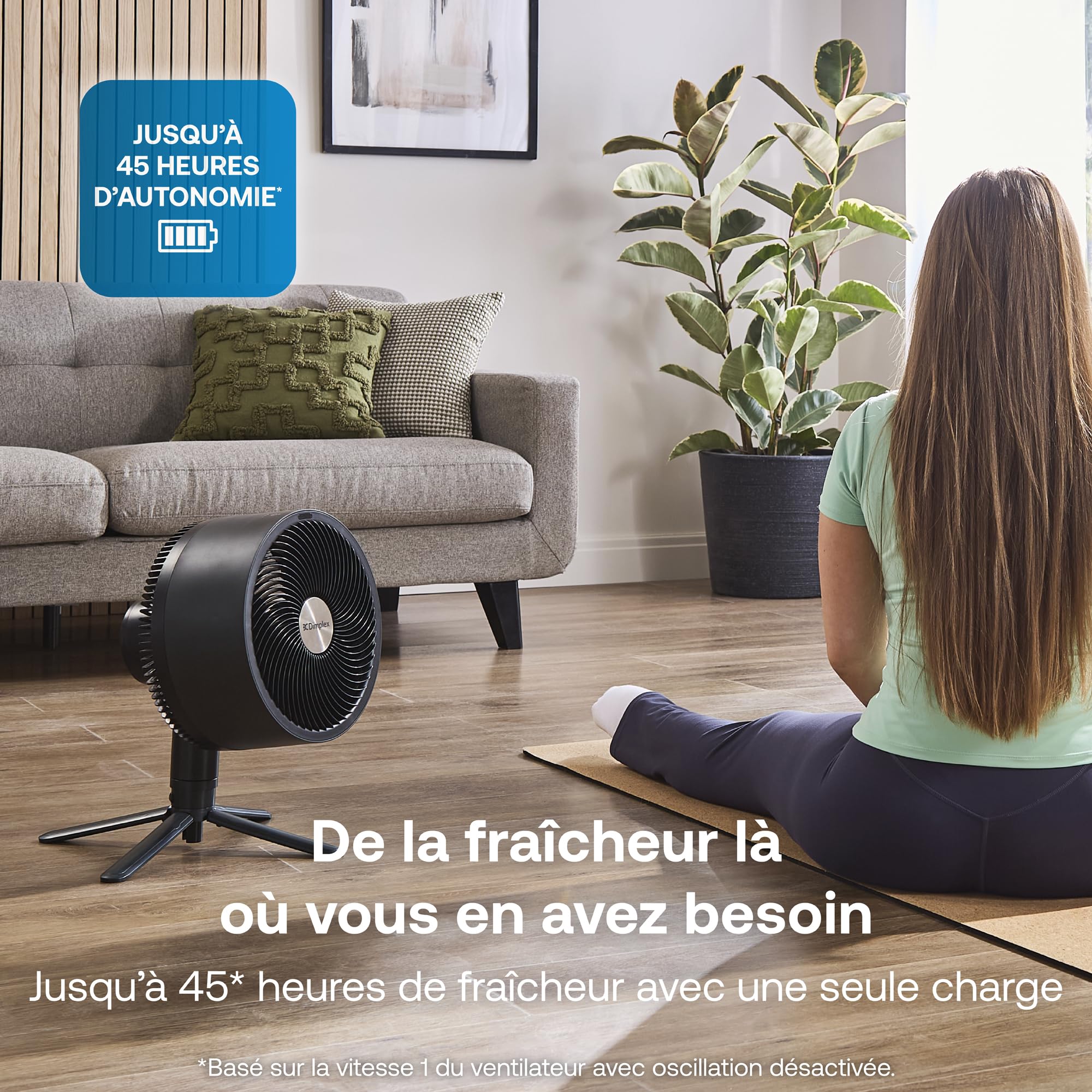 dimplex-duocool-ventilateur-sans-fil-2-en-1-noir-45-h image 3