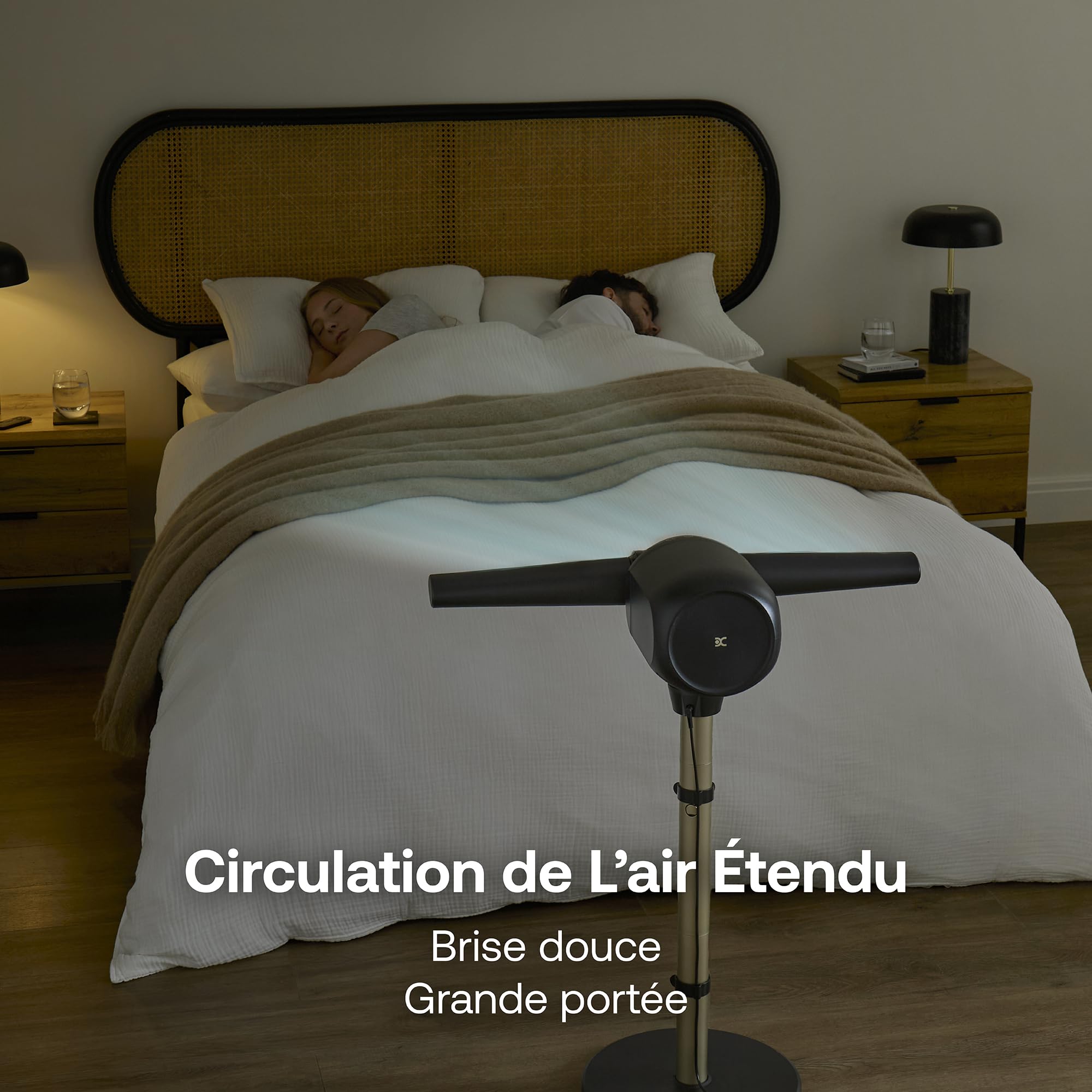 dimplex-flexblade-ventilateur-sans-pales-sur-pied-20-m image 4